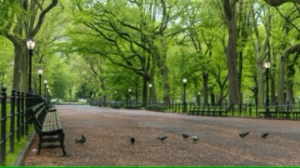 City Park - Distance 5.2 km Image